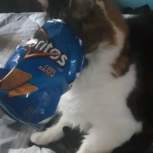 Meet your Posher, Jen